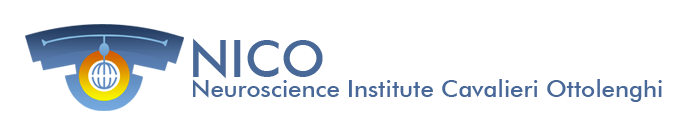 NICO Logo