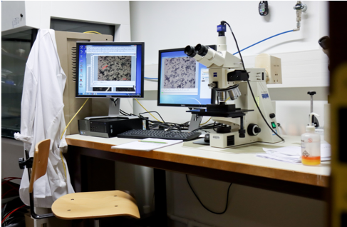 Metallographic microscope Zeiss Axiotech 100 HD