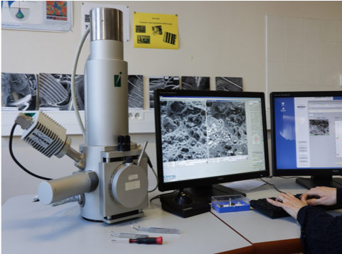 Scanning electron microscope Tescan Easyprobe