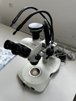 Stereomicroscope SZ61 (stand, cold light source with optical fiber type KL300 LED)