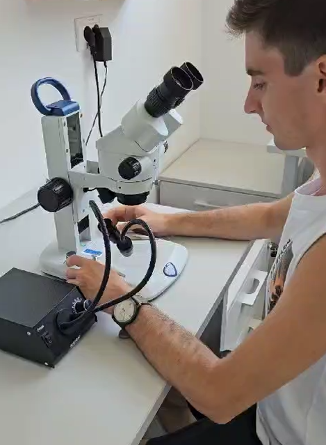 Stereomicroscope with separate light source