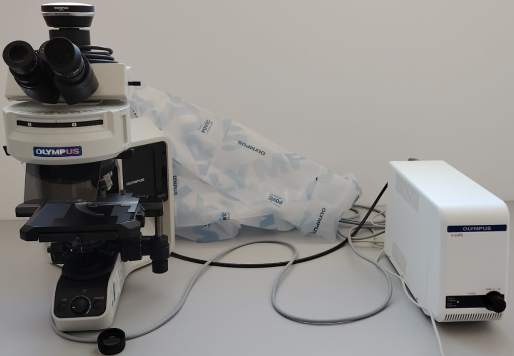 Fluorescence microscope with camera and computer