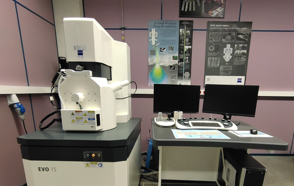 SEM with EDX analysis