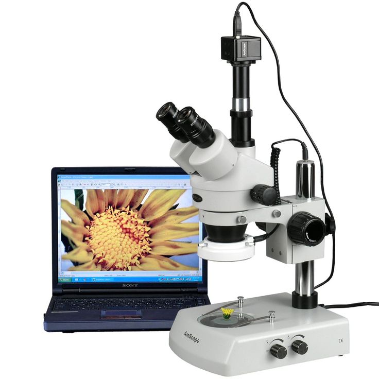 Stereomicroscope + microscope set (with camera and software)